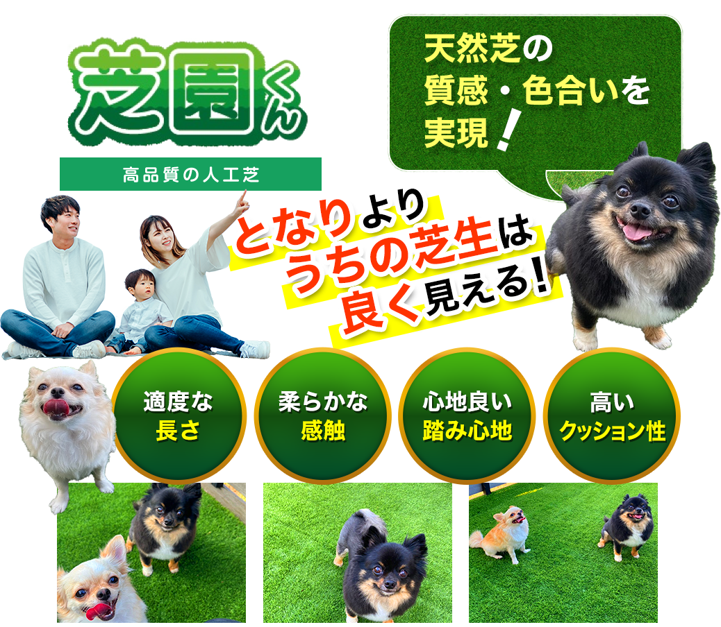 高品質の人工芝【芝園くん】天然芝の質感・色合いを実現！適度な長さ。柔らかな感触。心地良い踏み心地。高いクッション性。総合園材株式会社